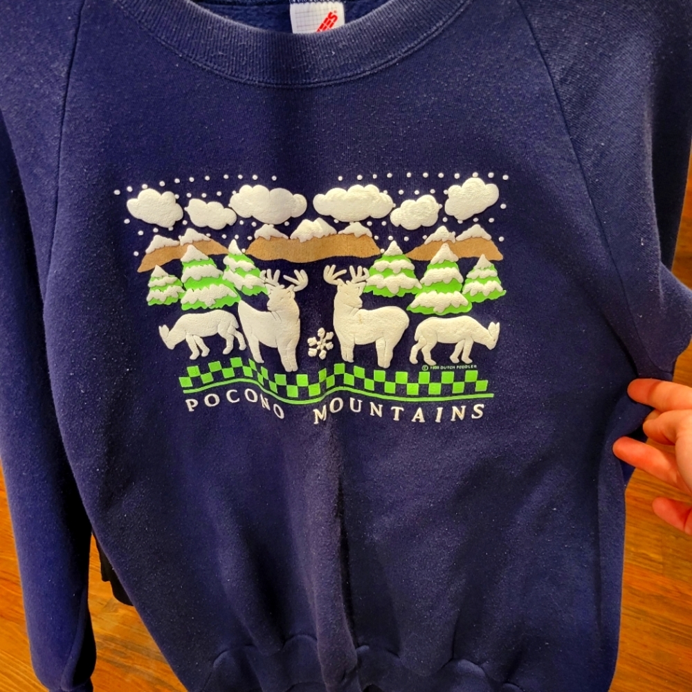 Jerzees VTG 90s POCONO MOUNTAINS (Pennsylvania) Crewneck
